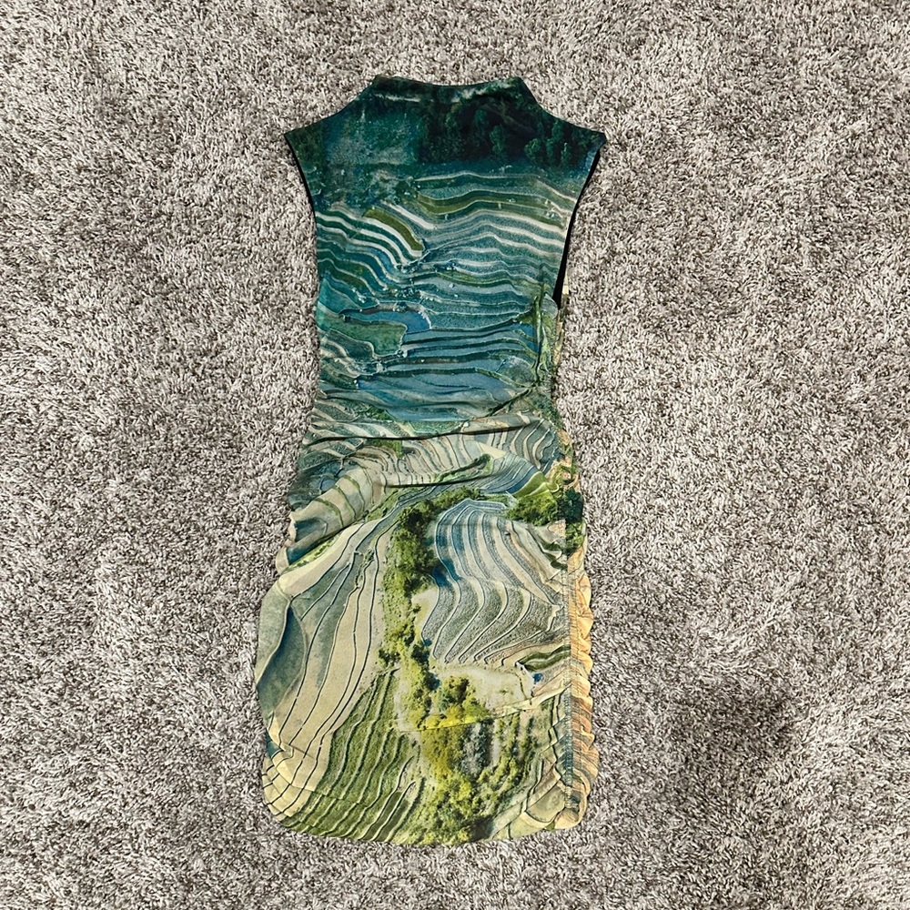Zara Dress